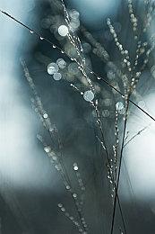 日本恐怖游戏《Ikai》10月在Steam发售 支持中文